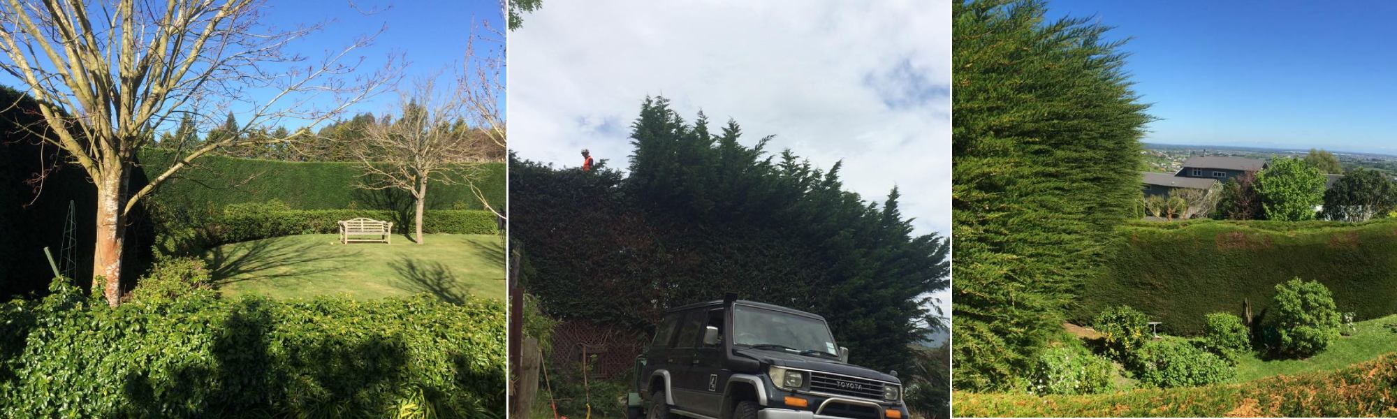 Specialist hedge & shelterbelt trimming Services in Christchurch and the wider Canterbury region. 