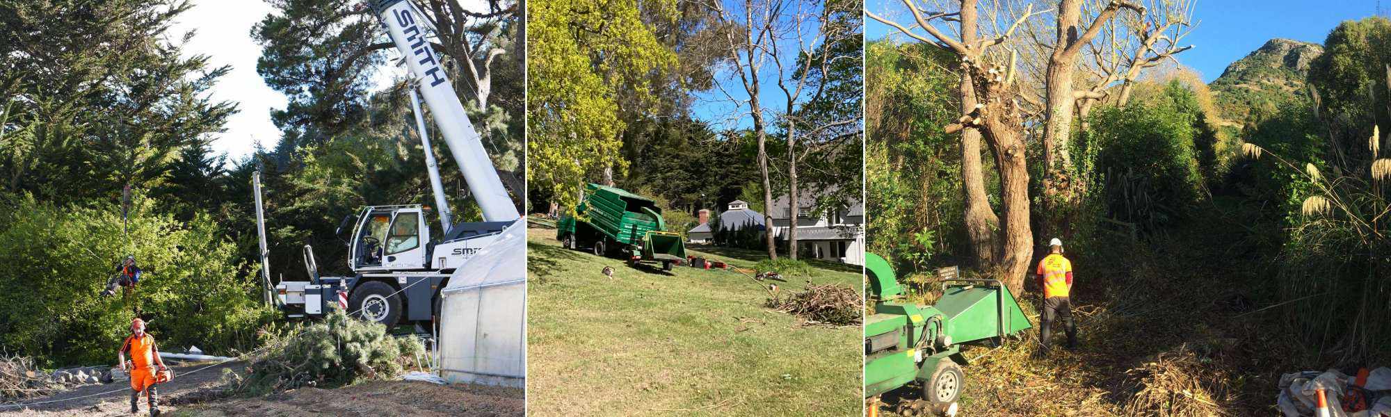 Remove out of control vegetation with our land clearing, stump grinding, tree removal, and mulching services in wider Canterbury region