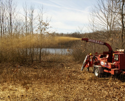 Land clearance services in Canterbury