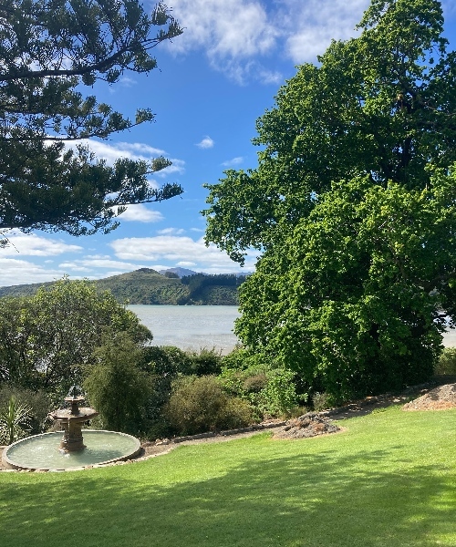 Specialist tree pruning services in  Christchurch, Akaroa, Banks Peninsula, and the wider Canterbury region