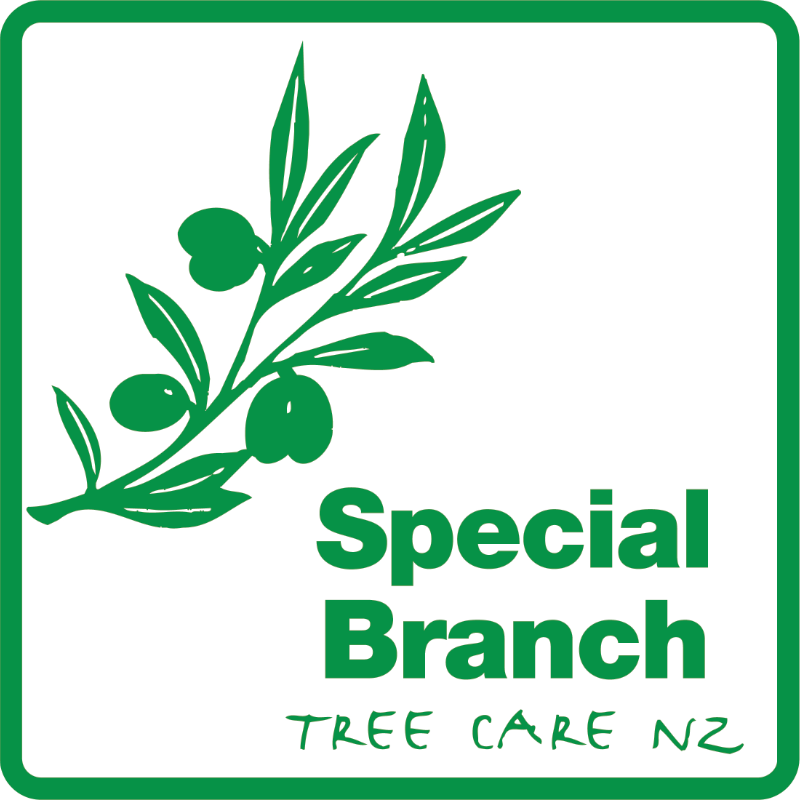 Special Branch Tree Care logo